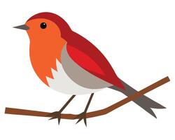 a delicate watercolor of a robin with soft brown and red feathers vector