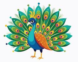 a peacock with its colorful tail feathers fanned out vector