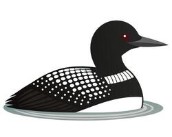 a striking watercolor of a common loon with its black and white feathers vector
