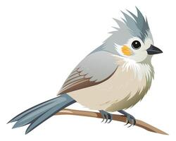 a soft watercolor of a tufted titmouse with its fluffy feathers vector