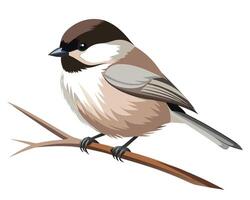 a gentle watercolor of a willow tit with soft brown feathers vector
