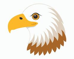 a realistic watercolor of a bald eagle with its white head and sharp eyes vector