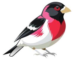 a striking watercolor of a rose breasted grosbeak with its colorful plumage vector