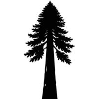 a towering sequoia tree with a thin outline reachi vector
