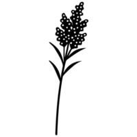 Isolated black and white floral illustration on white background vector