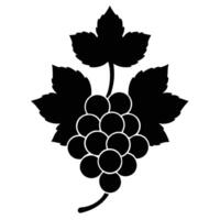 Black grapes on a white background vector