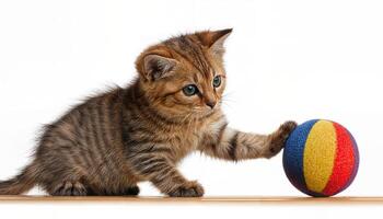 juguetón gatito atractivo con un pelota en medio de vibrante patrones de un felpa, desgastado alfombra, en un consolador y nostálgico interior ajuste. foto