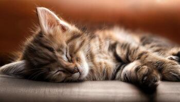 Sweet Slumber A Playful Kitten Napping Peacefully in a SunSoaked Backyard Deck Amidst Green Leaves and Fluffy Pillows, Radiating Serenity and Warmth. photo