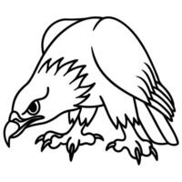 Eagle outline, detailed bird sketch majestic predator, strong talons, sharp gaze in monochrome design vector