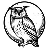 detailed owl illustration in black and white, perched bird with expressive eyes and feather lines, moonlit circular background vector