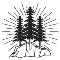 Illustration of pine trees on mountain rock with decorative radial lines rustic nature design, vintage forest scene vector