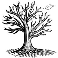 Leafless tree illustration with falling leaf, black and white sketch nature, growth, simplicity vector