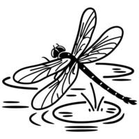 dragonfly resting on lily pad, intricate wings nature scene, pond, aquatic life illustration vector