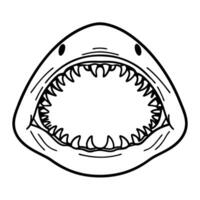 Aggressive shark mouth wide open showing sharp teeth, isolated face illustration, marine predator, underwater danger concept vector