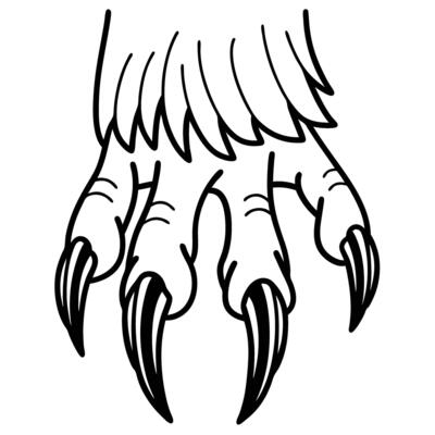 Bird of prey talon illustration sharp curved claws, detailed feathered limb, raptor predator anatomy, wildlife art