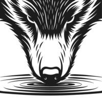 Stylized wolf drinking water illustration black white animal design with bold lines, wildlife concept, nature and reflection motif vector