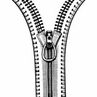 Detailed Illustration of Open Zipper vector