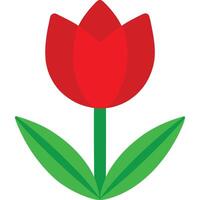 A red tulip with green leaves on a white background vector