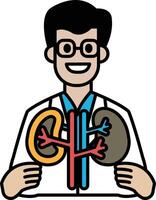 A man in a white lab coat holding up a model of a kidney vector