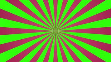 Rotating retro sunburst loop animation. radial pink on green screen. video