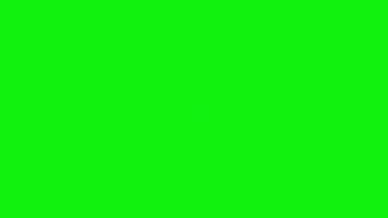 Exclamation mark animation pop up on green screen. simple sign. video