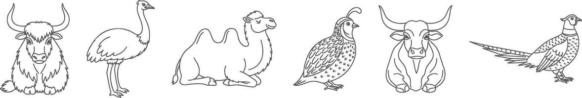 Minimal Line Art Illustration of Unique Farm and Exotic Animals Including Yak Emu Camel Quail Ox and Pheasant in Simplified Style for Educational Use Farm Decor vector