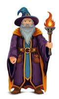 ancient fantasy magic sorcerer wizard witcher elderly man with beard in hat and cape cartoon illustration isolated white background vector