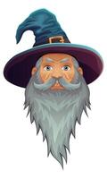 face ancient fantasy magic sorcerer wizard witcher elderly man with beard in hat and cape cartoon illustration isolated on white background vector