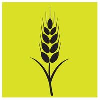 Simple minimalist wheat ear icon in black color against a vibrant yellow background vector