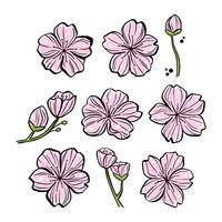 Set of Pink Sakura for decoration crafts project, card, background and any design. illustration about botanical nature. vector