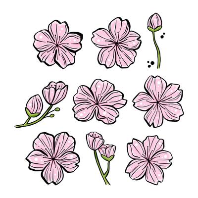 Set of Pink Sakura for decoration crafts project, card, background and any design. illustration about botanical nature.