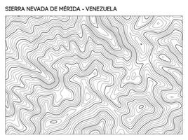 Topographic contour map of Sierra Nevada de Merida mountain range in Venezuela showing rugged elevation and ridgelines. Contour lines terrain background. vector