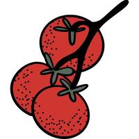 Hand-drawn vine tomatoes illustration in color.Ripe red tomatoes on a vine, perfect for food, farming or recipe design themes. vector
