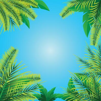 Beautiful green palm plants on blue sky with reflection of sun, summer background