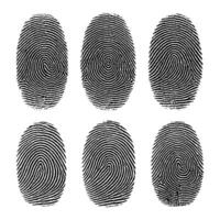 Human Fingerprint Set - Identity and Security Concept vector