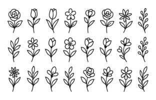 Hand-Drawn Floral Doodle Outline Set - Botanical Elements vector
