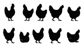 Chicken and Rooster Silhouettes - Farm Animal Set vector