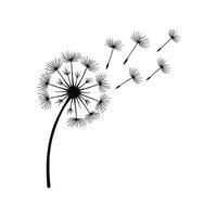 Dandelion Silhouette with Seeds Blowing in the Wind on White Background vector