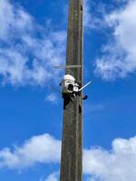 A camera mounted on a pole with a blue sky photo