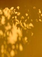 A yellow wall with leaves and shadows photo