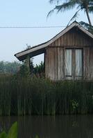 Rustic Waterside Cabin with Overgrown Reeds and Tropical Foliage photo