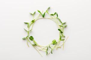 Tender arugula micro greens wreath isolated on white background. Eating right concept. Fresh garden produce organically grown as a symbol of health and vitamins from nature, top view, copy space photo