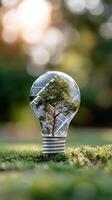 Green energy concept with tree inside light bulb photo