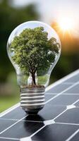 A light bulb with a tree inside it on a solar panel photo