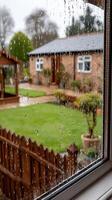 A view of a garden through a window with raindrops on it photo