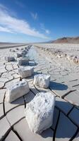 A large group of rocks in the middle of a salt flat photo