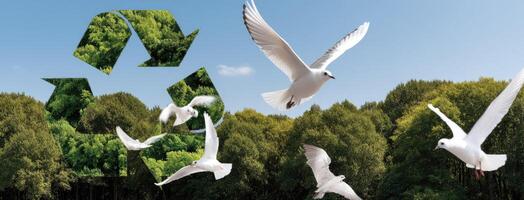 Recycle, recycle, recycle, recycle, recycle, recycle, recycle, recycle, recycle, photo