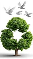 A green tree with white doves flying around it photo