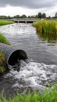 A pipe that is in the water photo