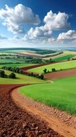 A dirt road in the middle of a field photo